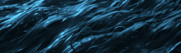 Request for Proposals – Eelgrass Restoration Synthesis Report