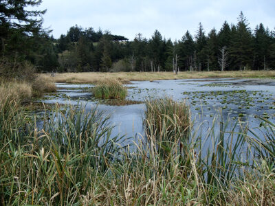 Swamp Creek Reservoir at water level