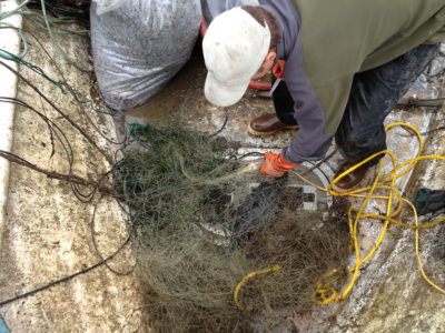 removing derelict gear from harbor