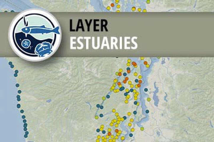 PMEP Estuary Points