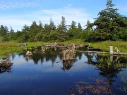 PMEP Now accepting proposals for FY2023 project funding