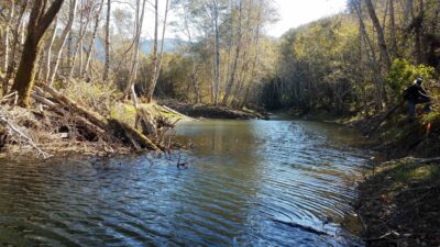 Mattole River Estuary