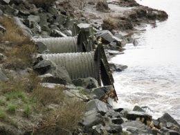 Barriers to Tidal Connectivity Symposium draws hundreds of participants