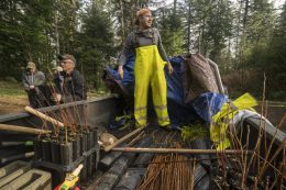 PMEP Partner Receives American Fisheries Society Rising Star Award