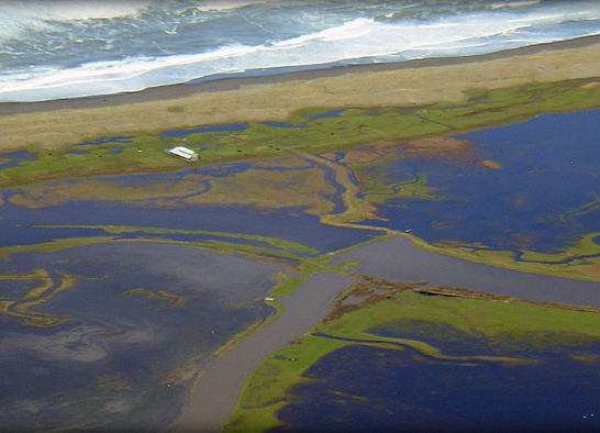 Eel River Estuary and Centerville Slough Enhancement Project, CA (2017)