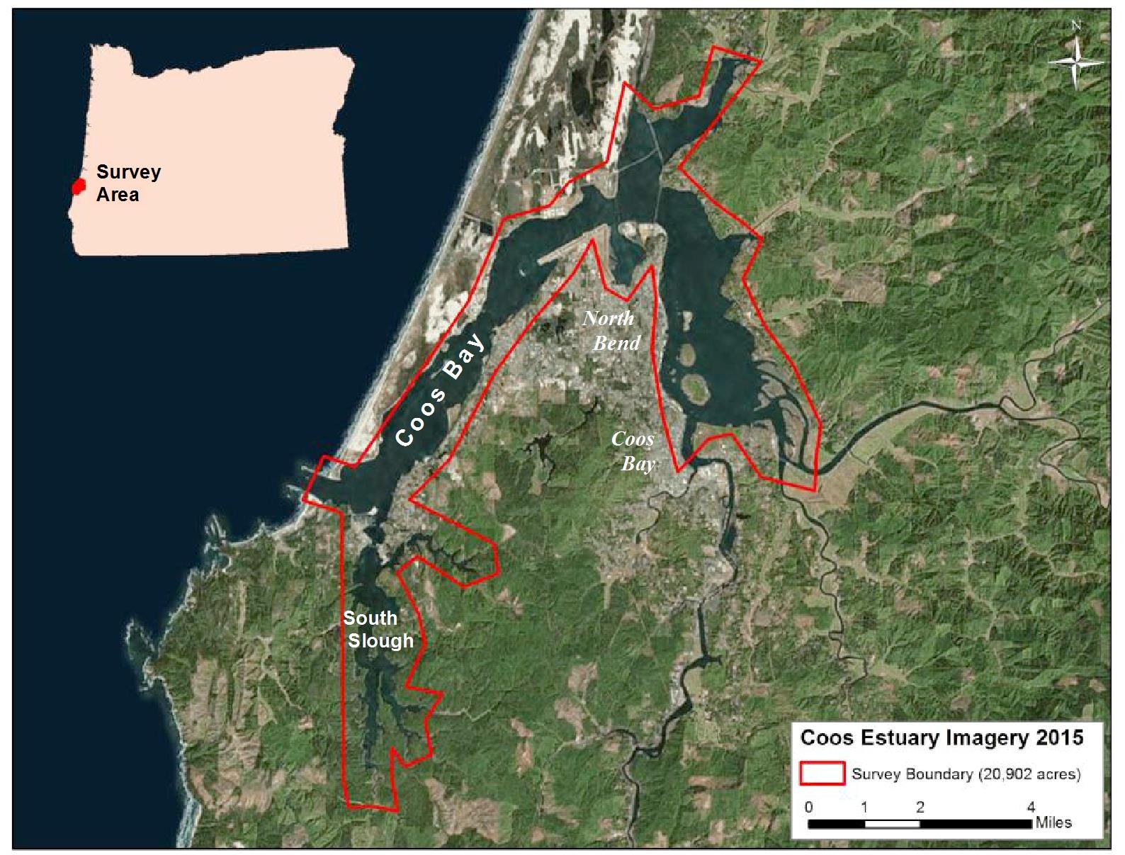 Eelgrass mapping of the Coos Estuary, Coos Bay, OR (2016)