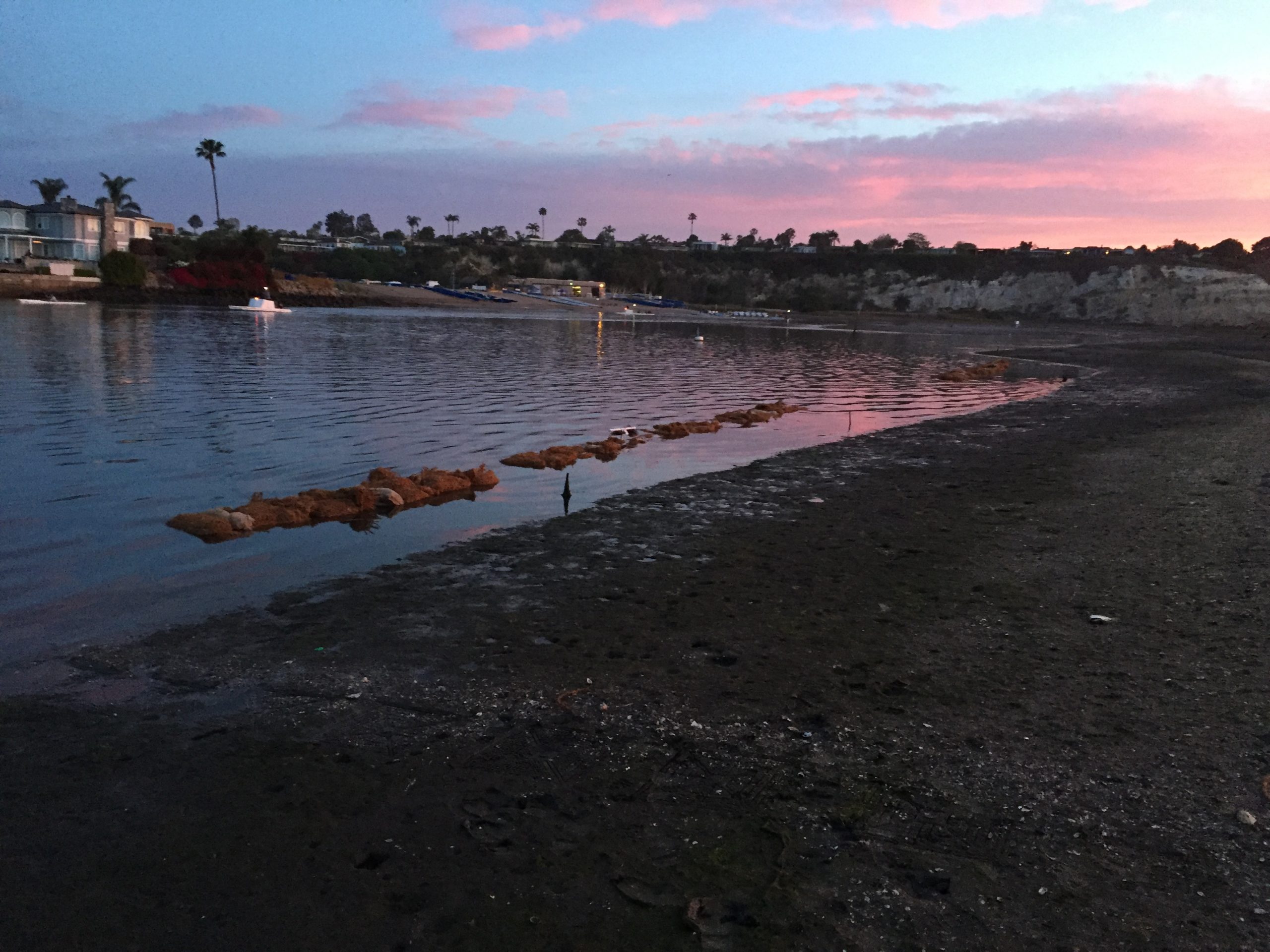 Upper Newport Bay Living Shorelines Project, CA (2017)