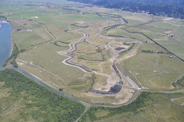 Salt River Ecosystem Restoration Project, Eel River, CA (2014)