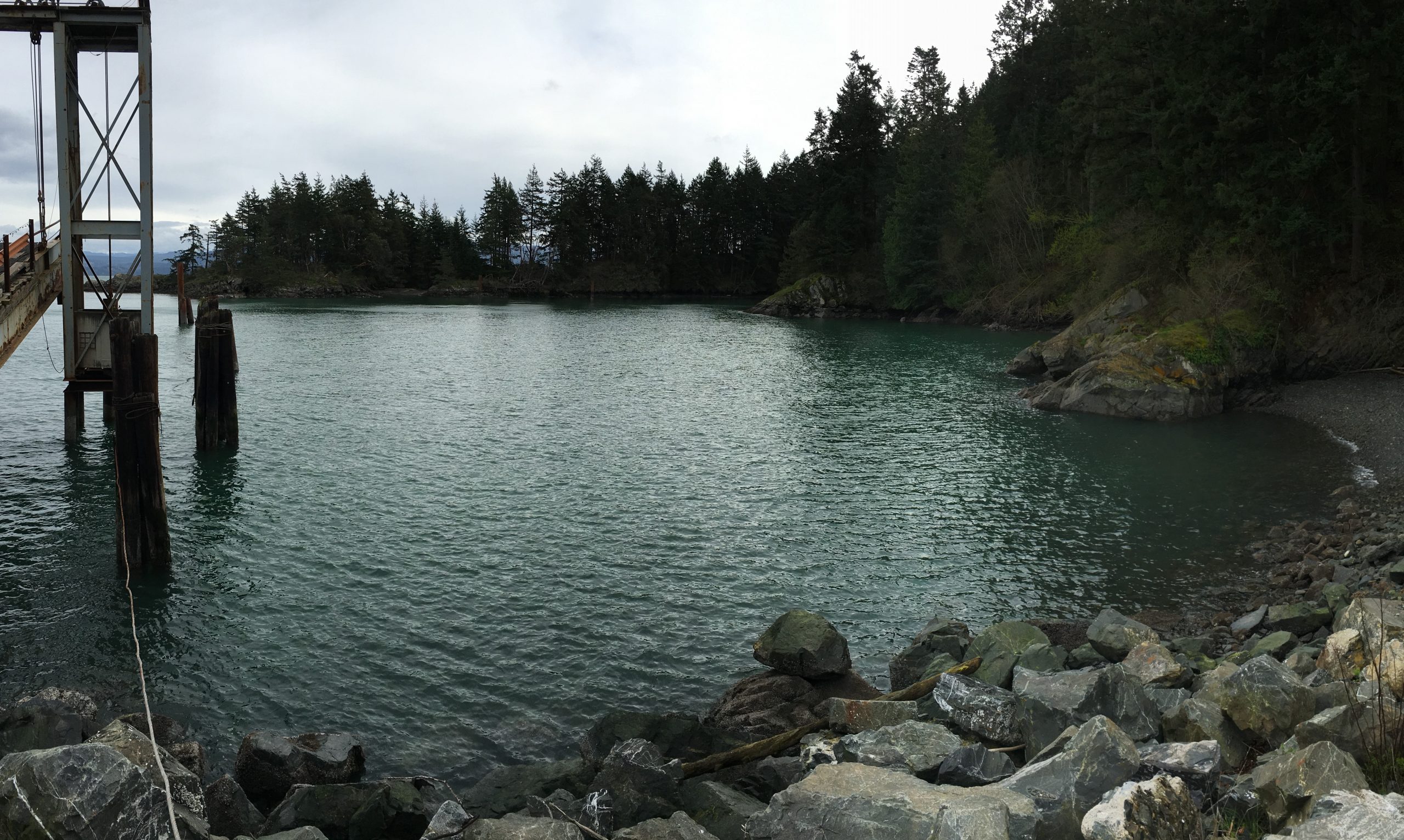 Aiston Preserve Nearshore Restoration, WA (2022)