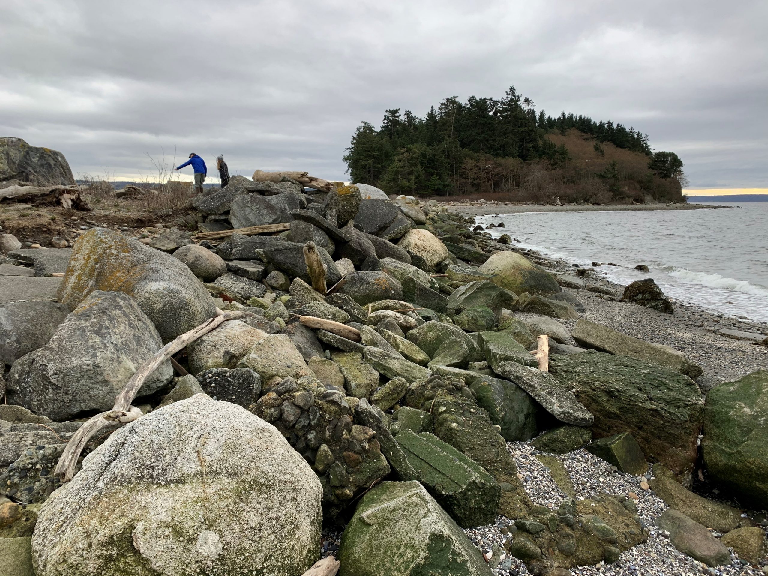 Polnell Point Armor Removal and Restoration, WA (2022)