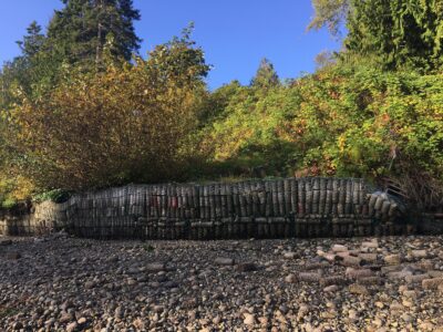 Zangle Cove, Washington