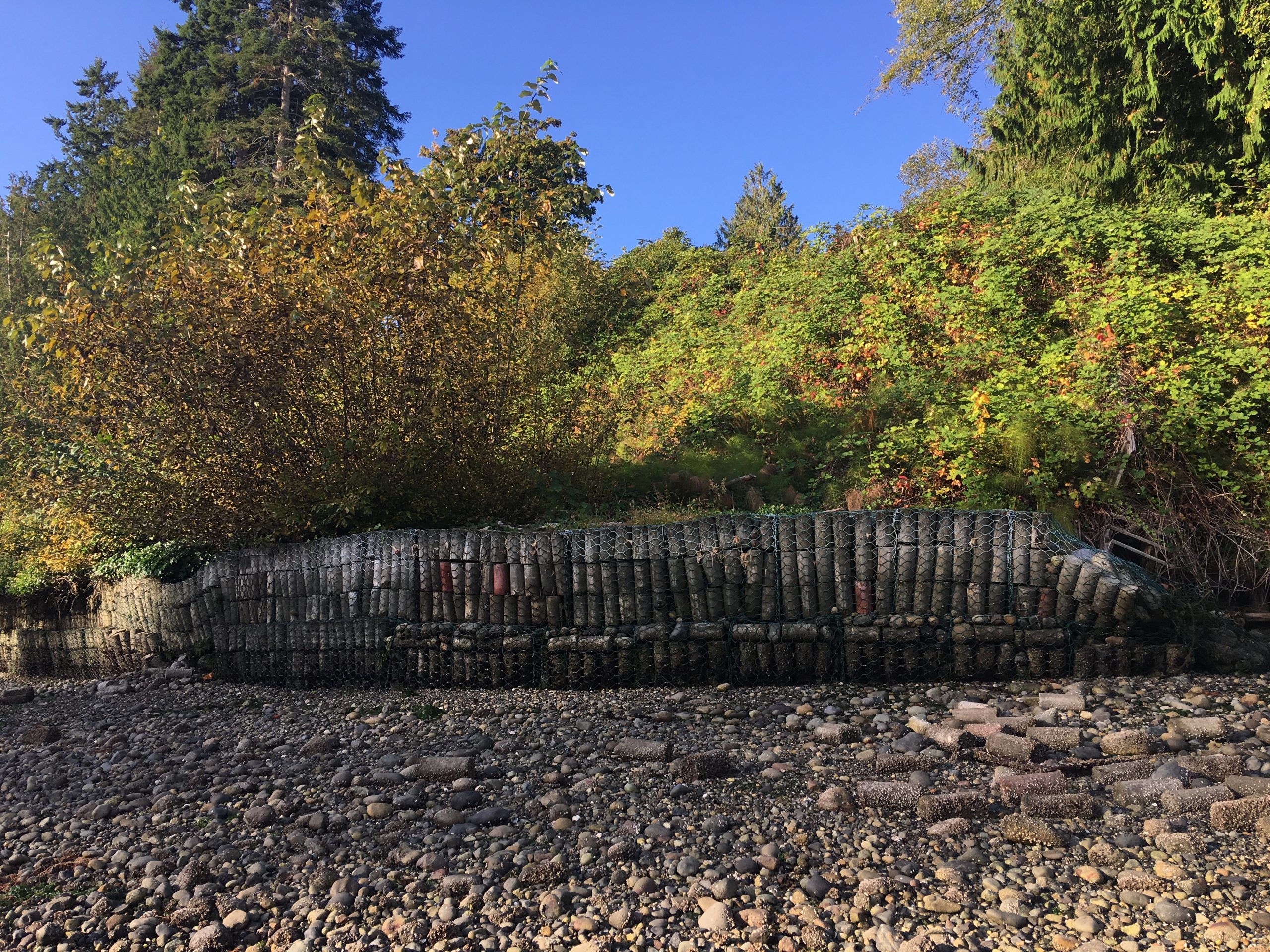 Zangle Cove Restoration, WA (2022)