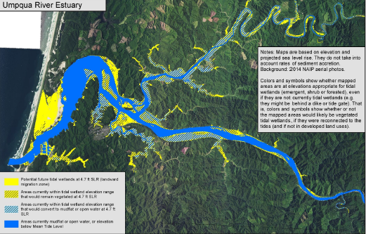 Modeling Sea Level Rise Impacts to Oregon's Tidal Wetlands