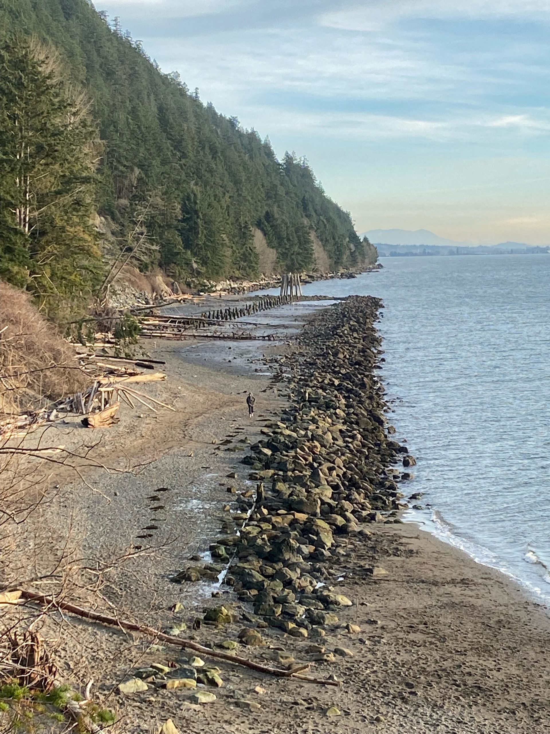 Clayton Beach Nearshore Restoration Project, WA (2023)