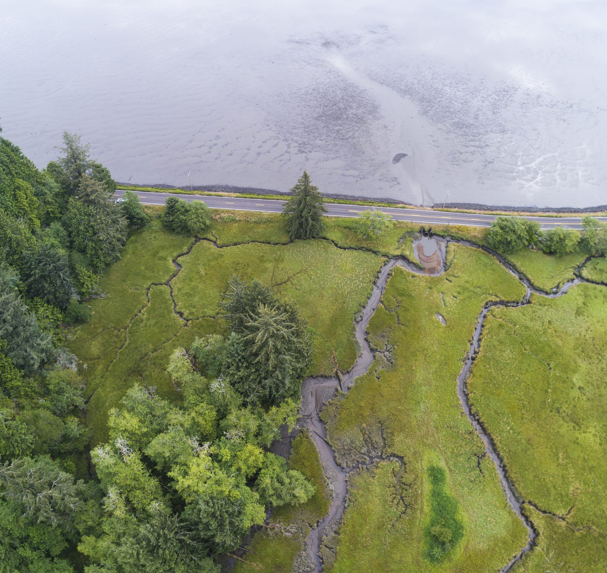 Flower Pot Creek Fish Passage and Tidal Reconnection Project, OR (2023)