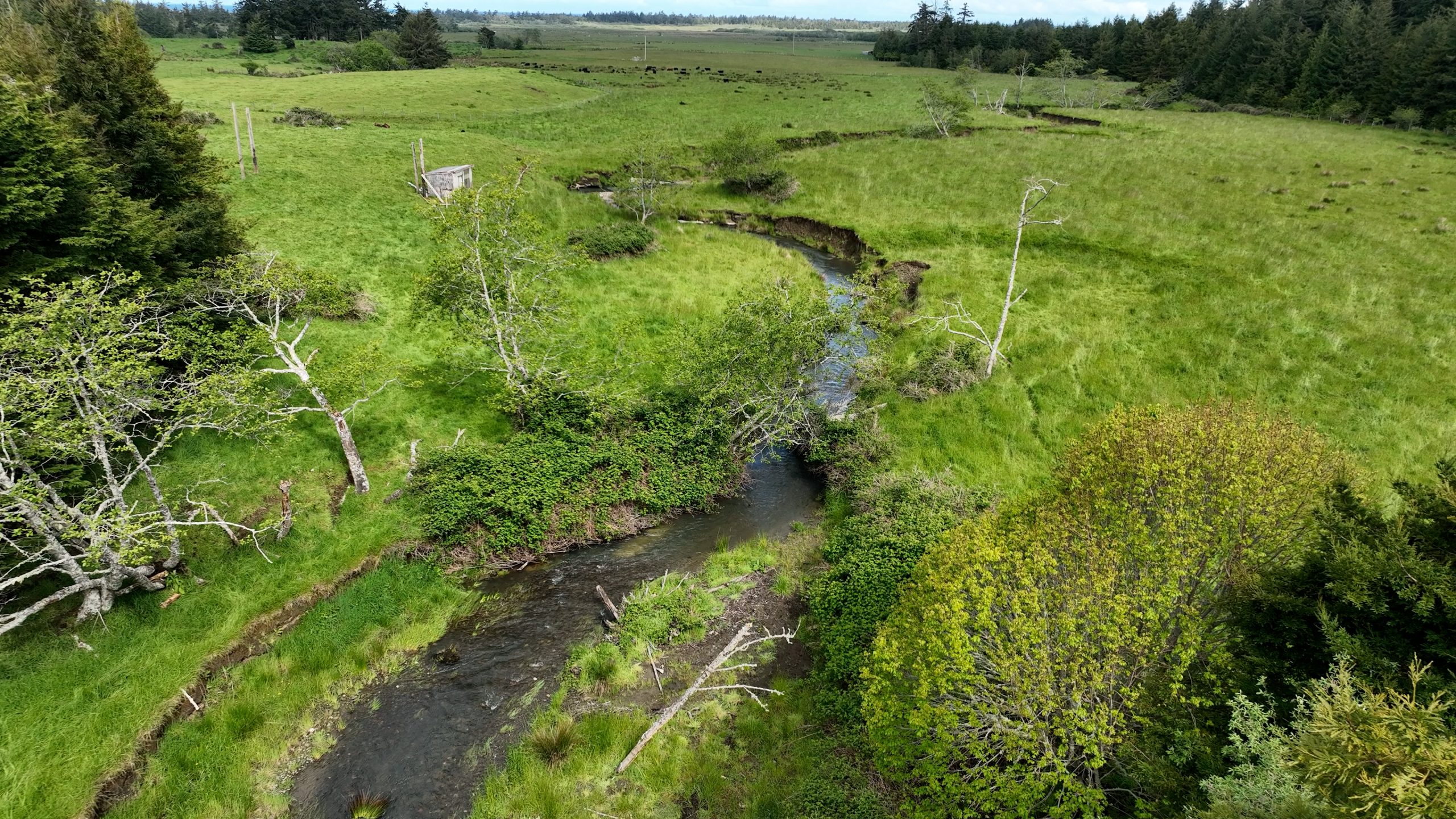 Blowers Ranch Morton Creek Restoration, OR (2023)