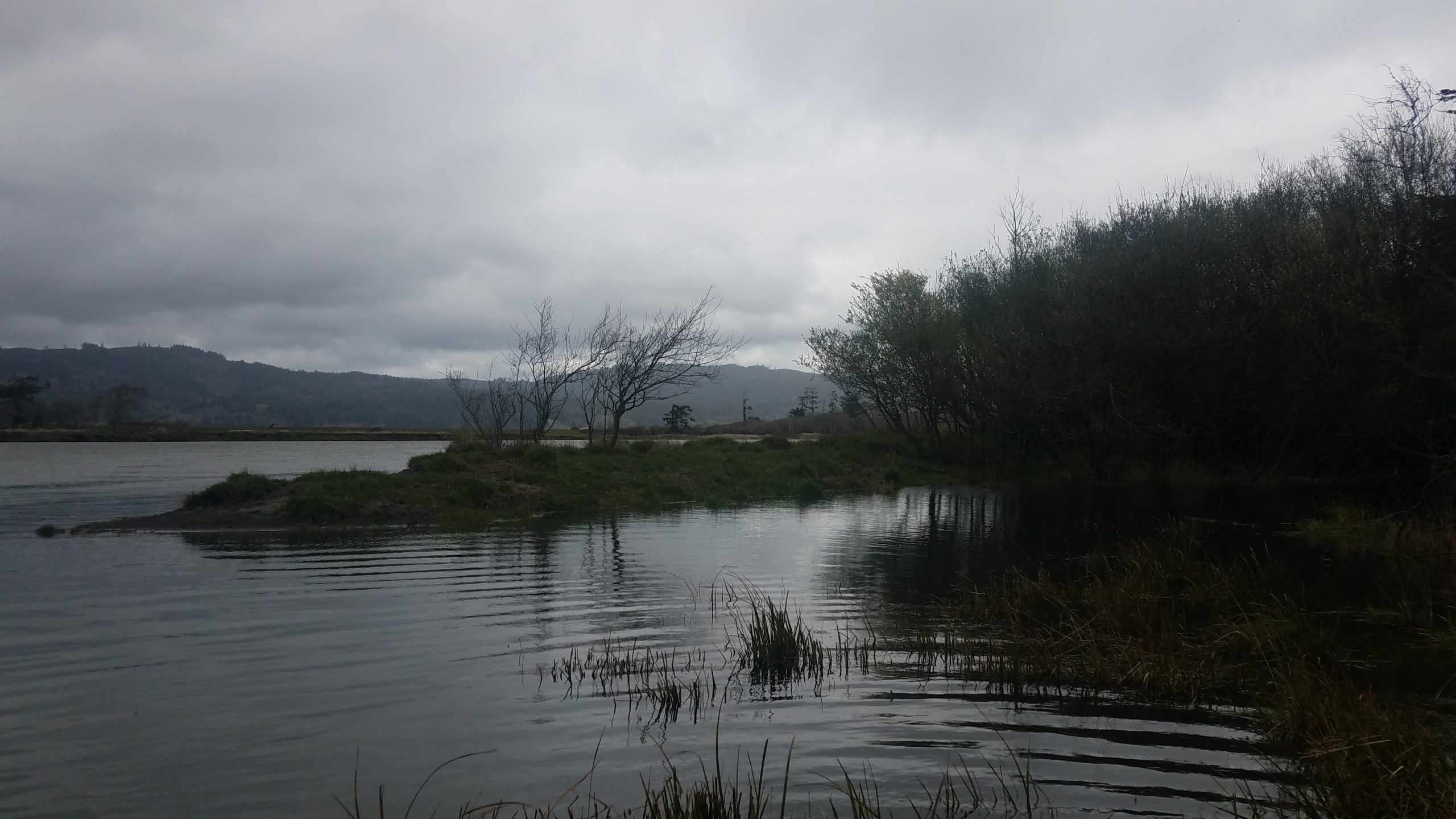 Smith River Estuary Backwater Habitat Enhancement Project, CA (2023)