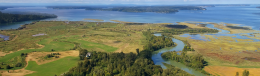 SAVE THE DATES: Effective Estuary Restoration Symposiums set for March 4 and May 6, 2025
