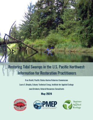 Tidal Swamps report cover