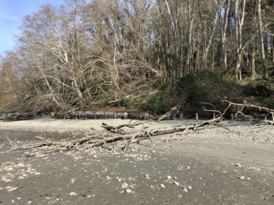 Henderson Bay