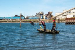 Biological Assessment of the Ediz Hook Lagoon in Port Angeles, WA (2024)