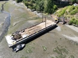 Zangle Cove Bulkhead Removal named NFHP Waters to Watch