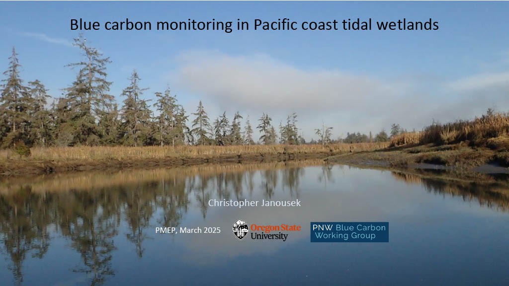 2025 Effective Estuary Restoration Symposium – Blue Carbon
