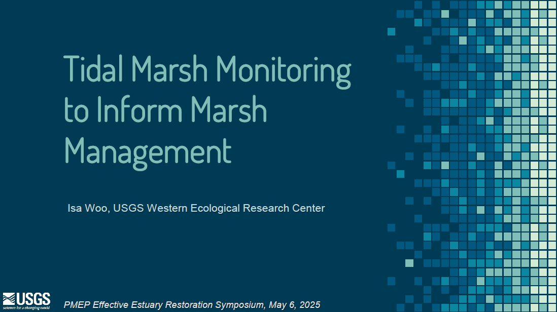 Tidal Marsh Monitoring