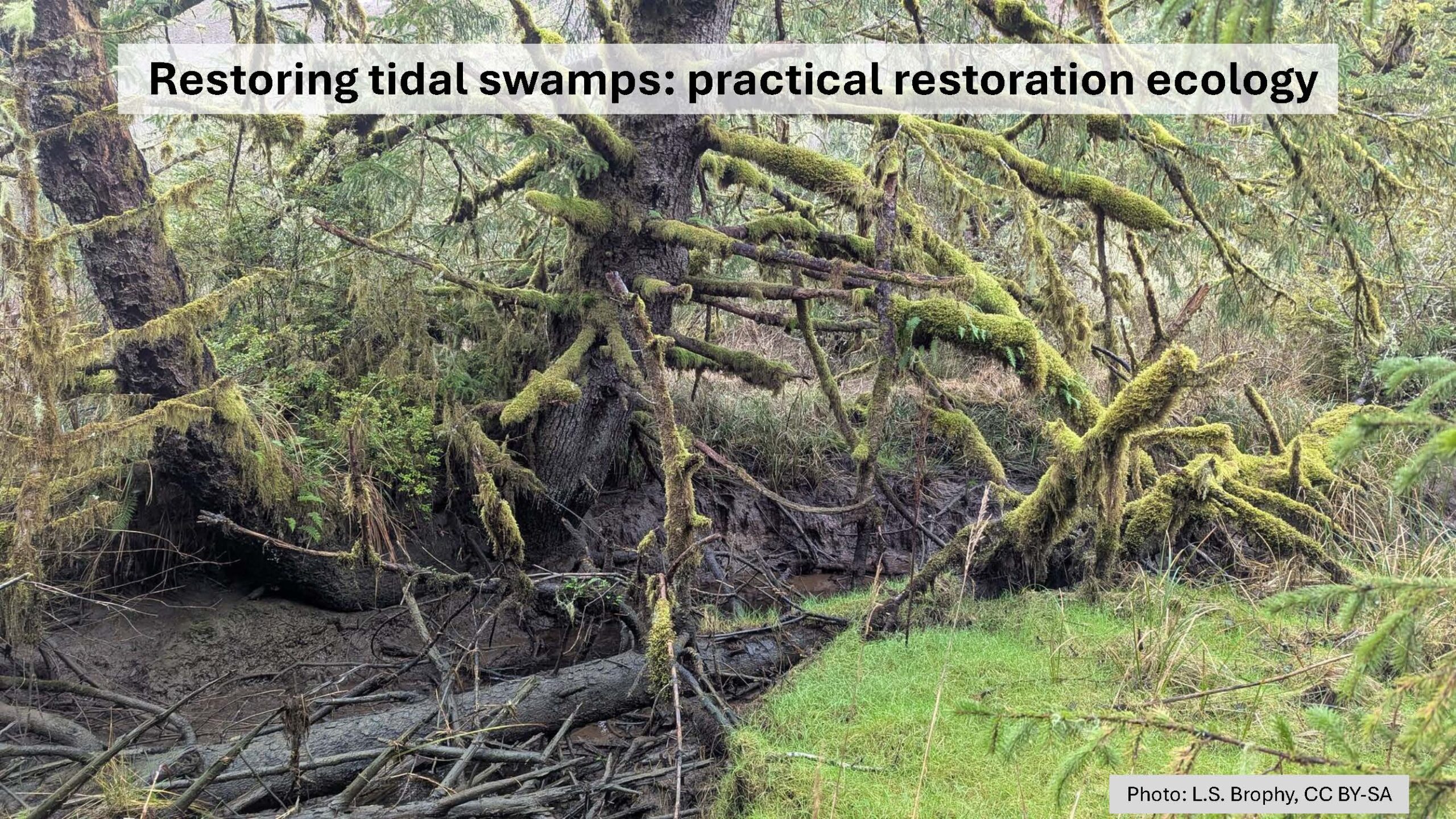 2026 Effective Estuary Restoration Symposium – Jump-starting process-based restoration